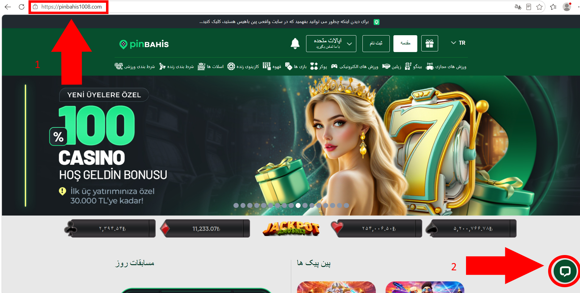 راه های ارتباط با پشتیبانی پین باهیس